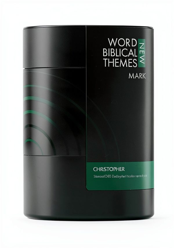 Zondervan Academic Bible Handbook New Testament Series-0