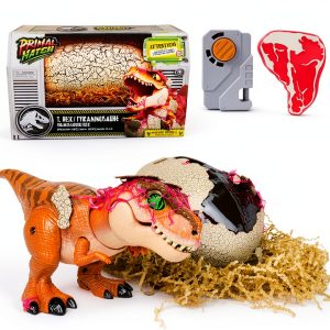 Spin Master Interactive Dinosaur Toy Hatching Egg Training-0