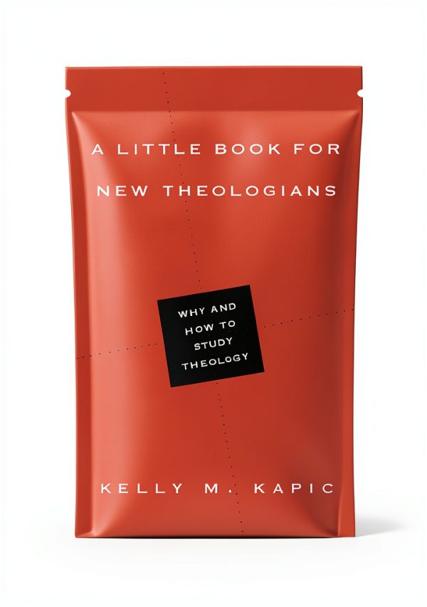 IVP Academic Christian Bible Handbook Kindle Book Theology-0